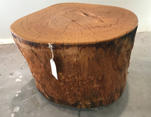 Indonesian Petrified Wood Side Table