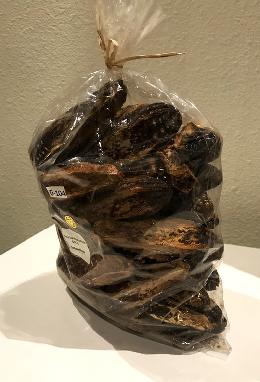 Natural Mahogany Pods
